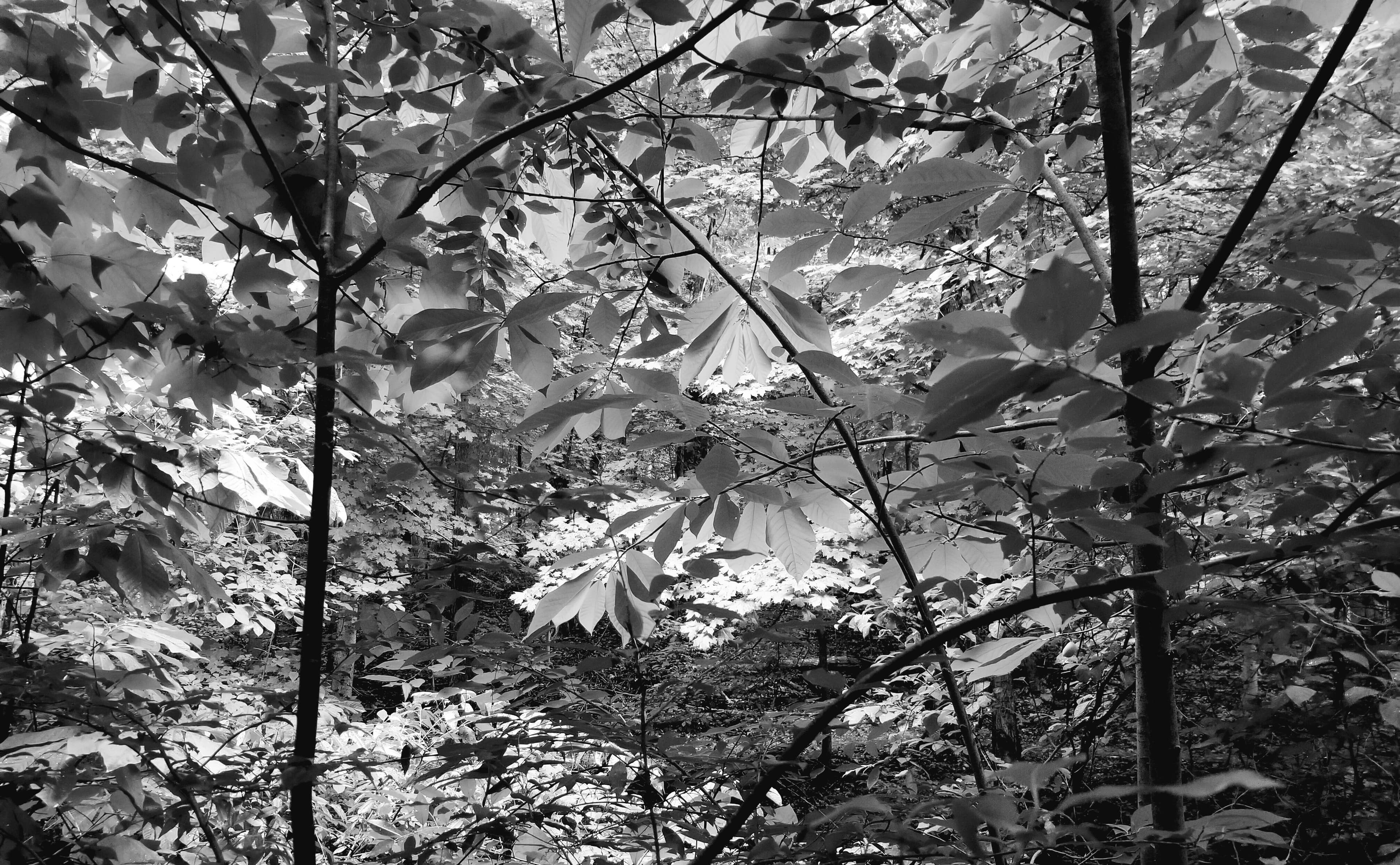 Boring and Soaring portfolio