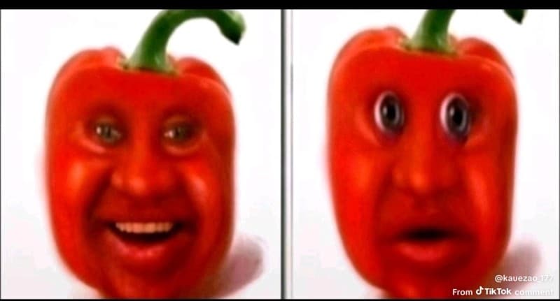 Quintens God Pack Portfolio portfolio