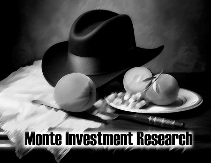 Monte Investments Value And Growth portfolio