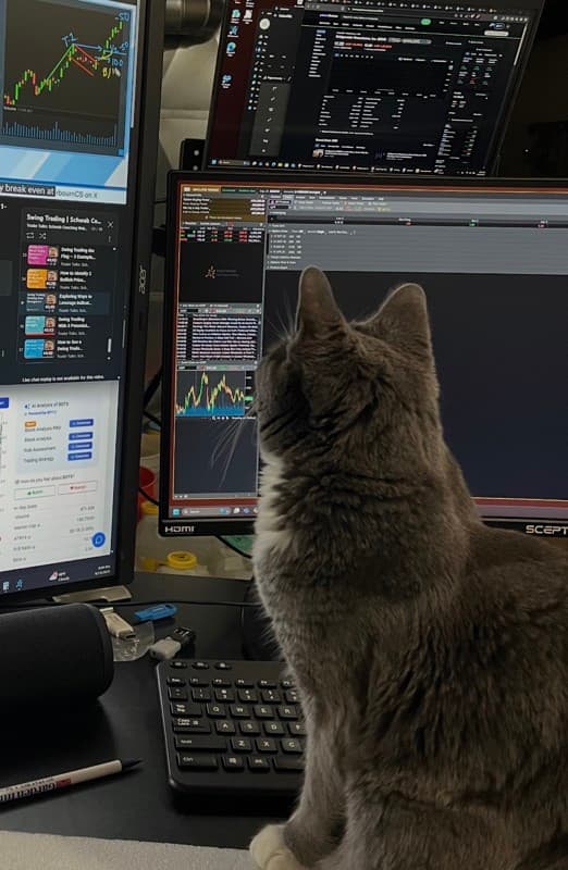 Copy The Cat portfolio