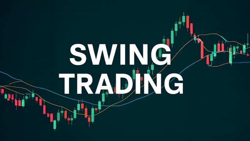 Swing4profit portfolio